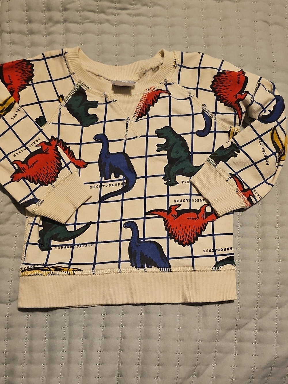 Hanna Andersson Dinosaur  Sweatshirt 2t 100% Cotton Boy Girl